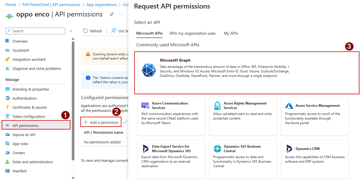 Entra App Api How to Find Microsoft Entra Applications without API Permissions